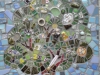 family tree mosaic